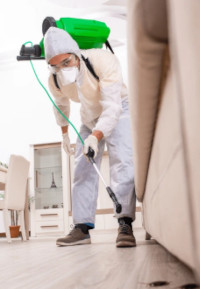 Commercial Pest Control